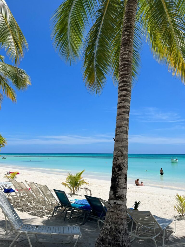 Tropical beach scene with palm trees and turquoise waters in La Altagracia.