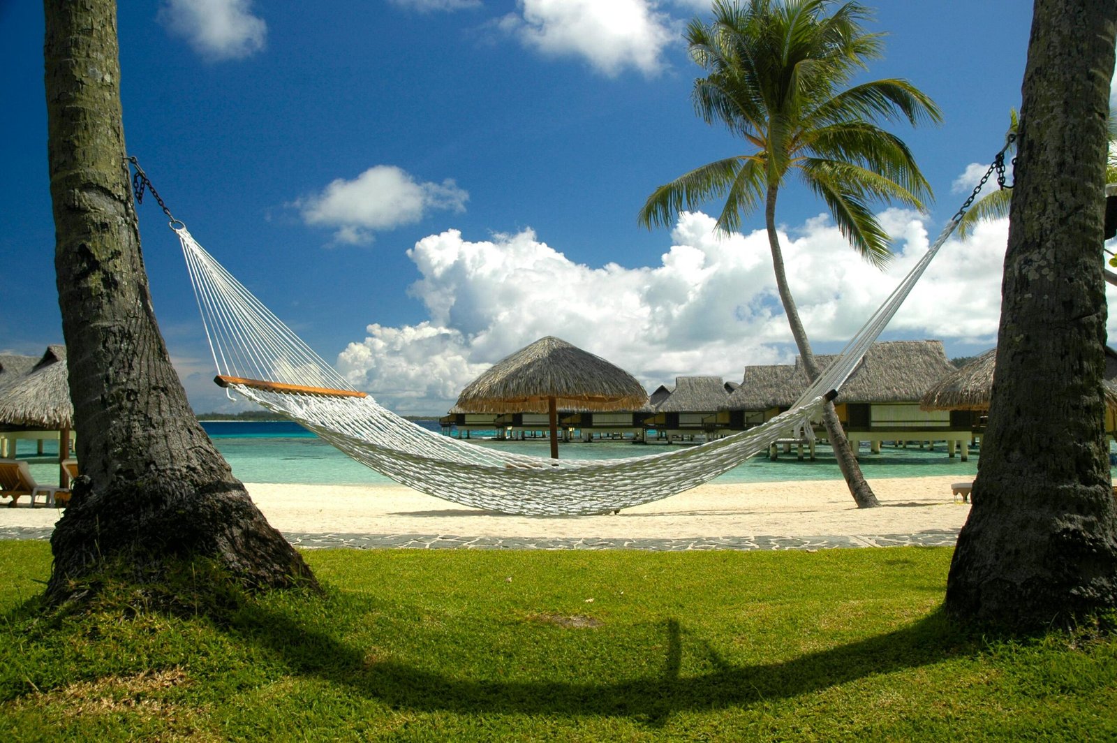 Relaxing beach scene with a hammock, bungalows, and palm trees on a sunny day.